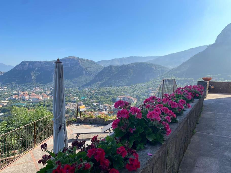 Collywood Villa Piano di Sorrento Exterior photo